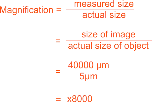 Calculation on Magnification