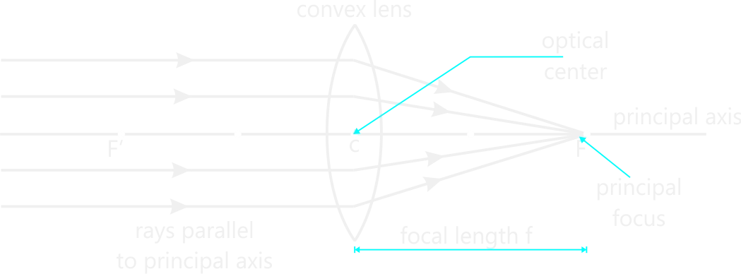 Principal foci of Convex lens
