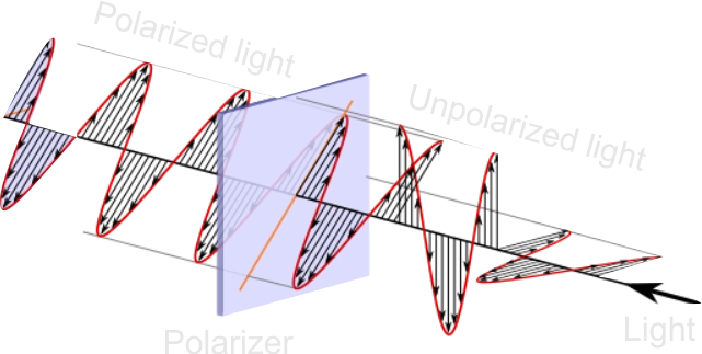 Linear Polarization