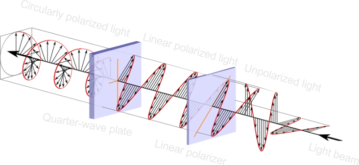 Linear and Circular Polarization