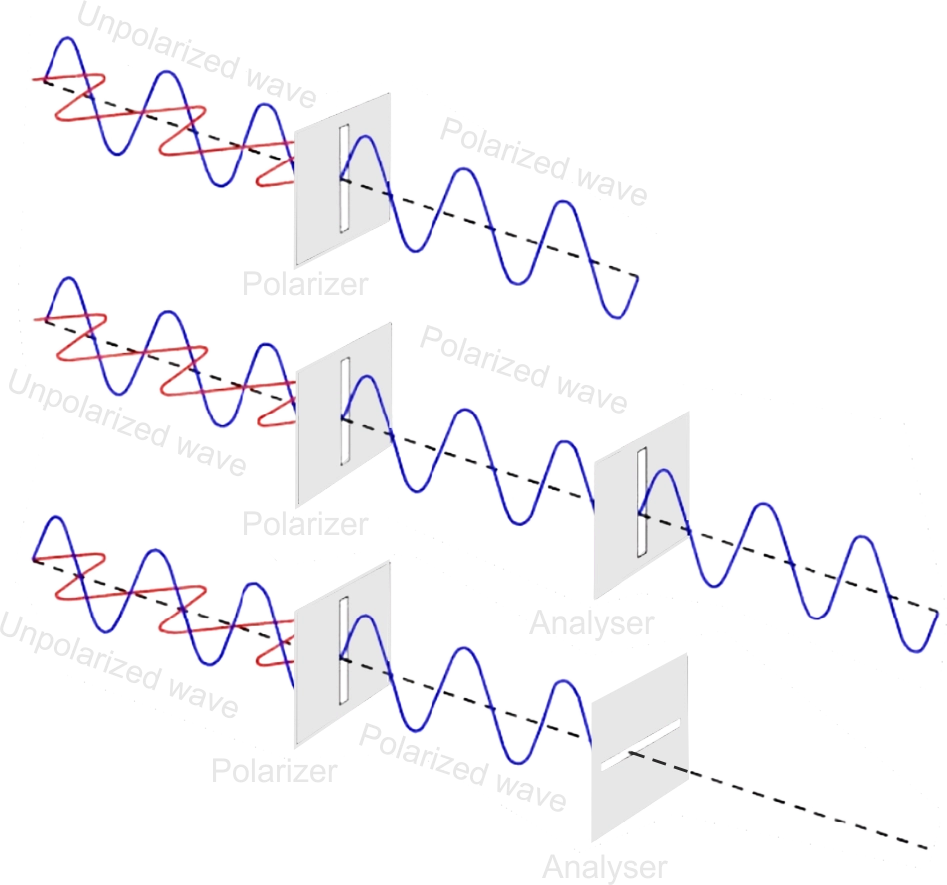 Polarization Light Wave