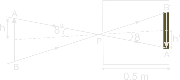 Pin Hole Camera