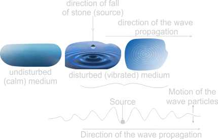 Water Wave Diagram