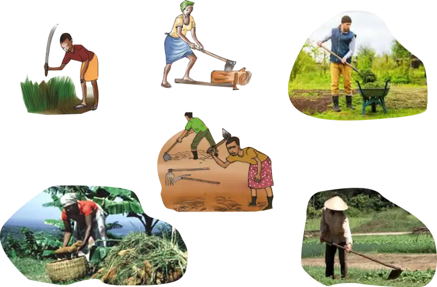 Basic farm tools