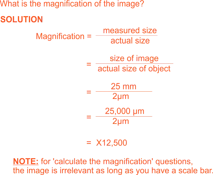 Magnification Calculation