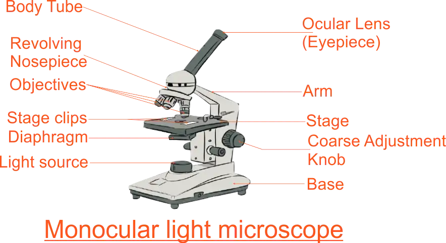 Monocular Light Microscope