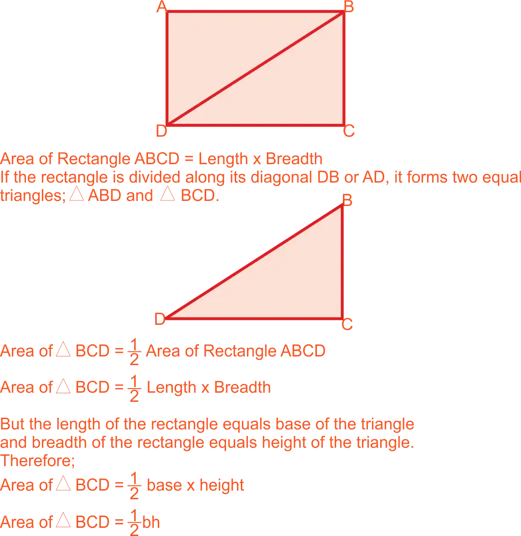 Derived the Formula of the Area of a Triangle