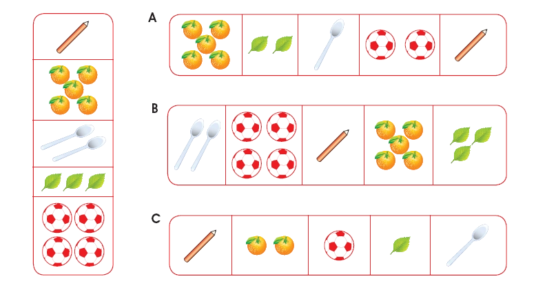 sort and classify number of objects in a group or collection